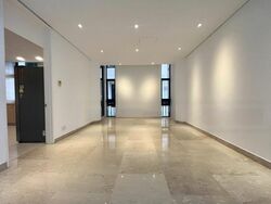 The Colonnade (D10), Condominium #507322941